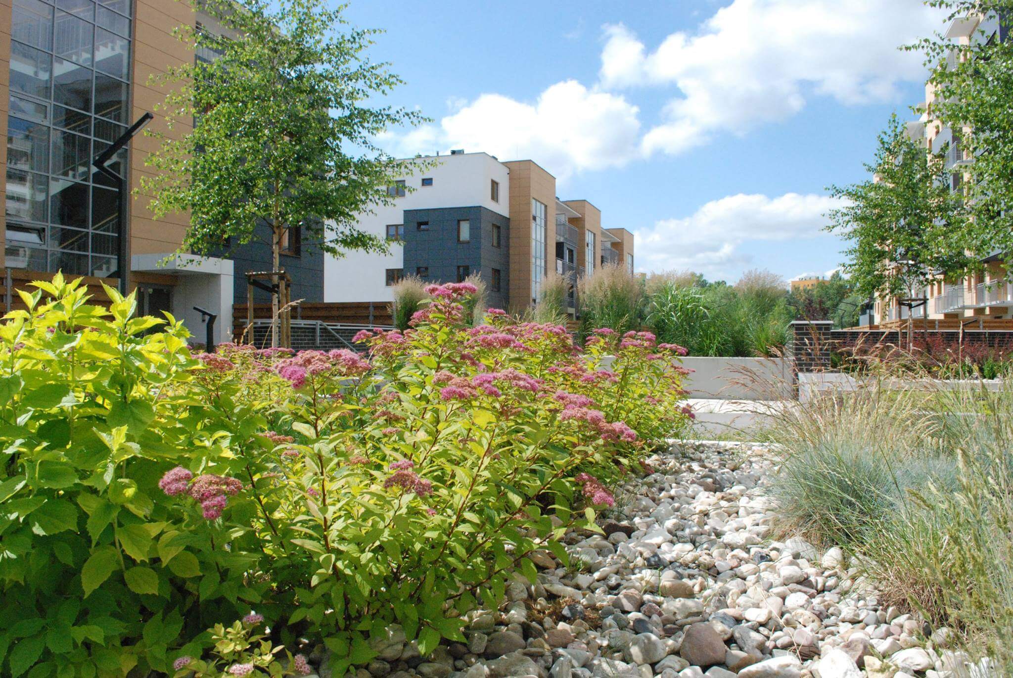 Da Vinci - zdjęcie 10