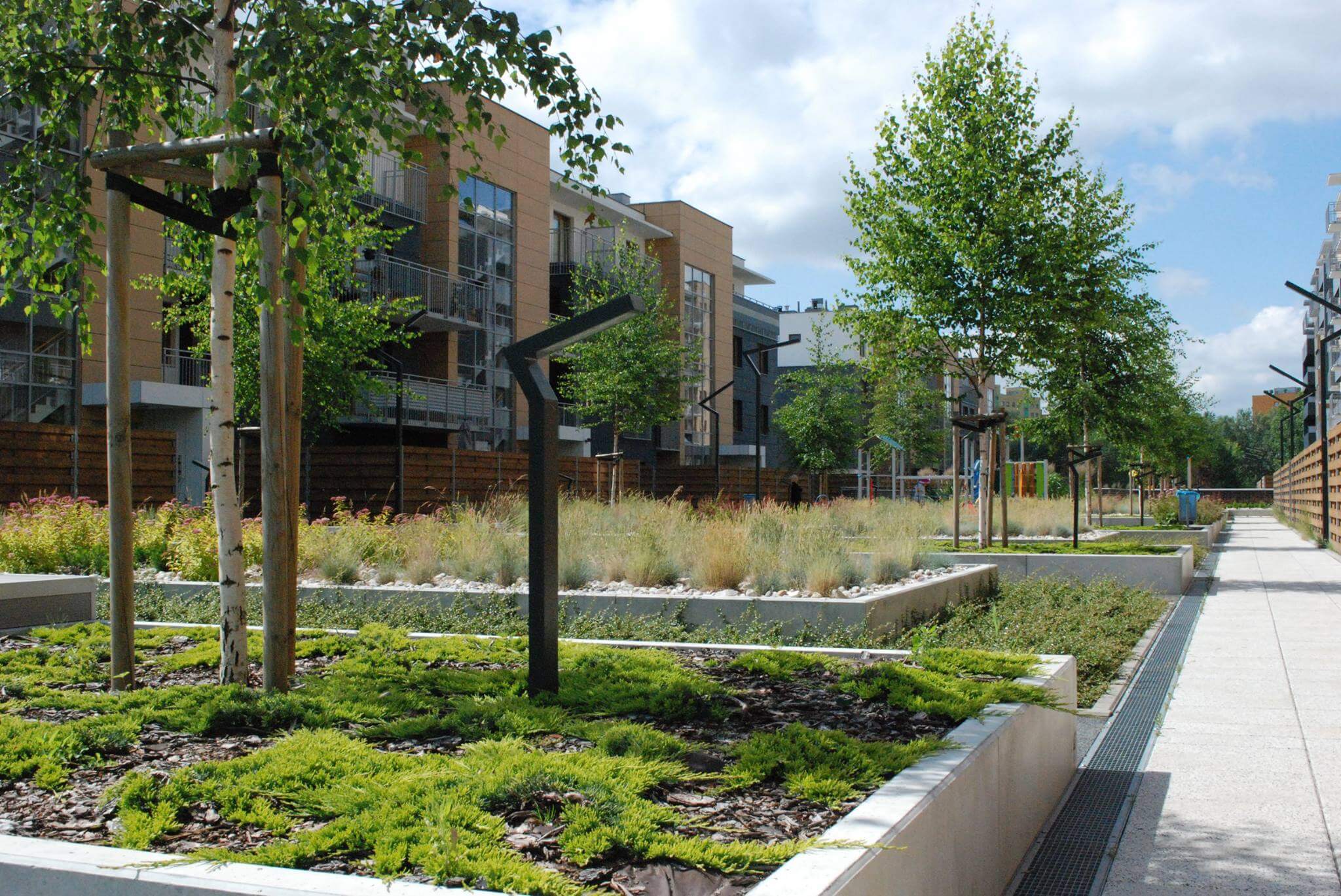 Da Vinci - zdjęcie 2