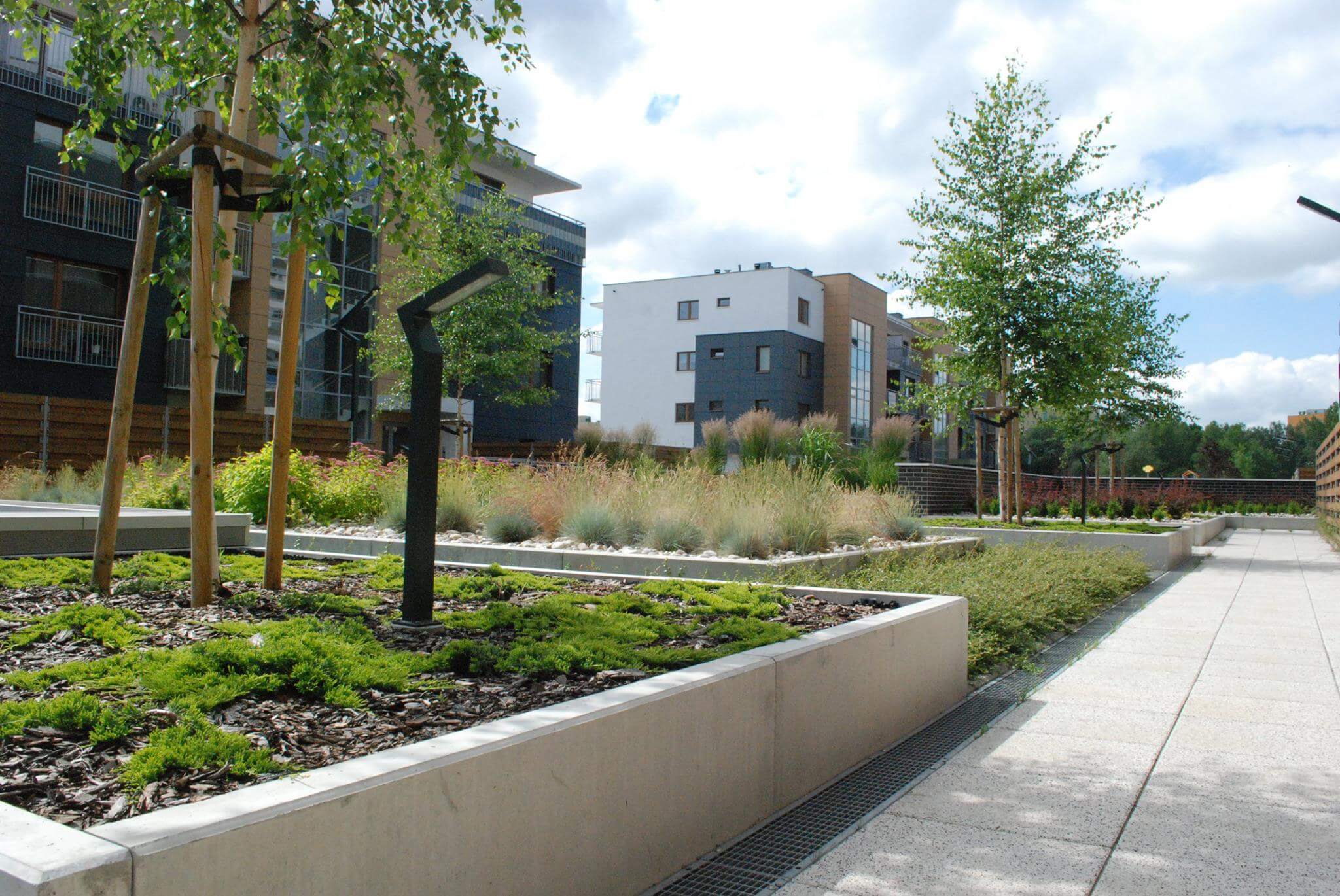 Da Vinci - zdjęcie 4