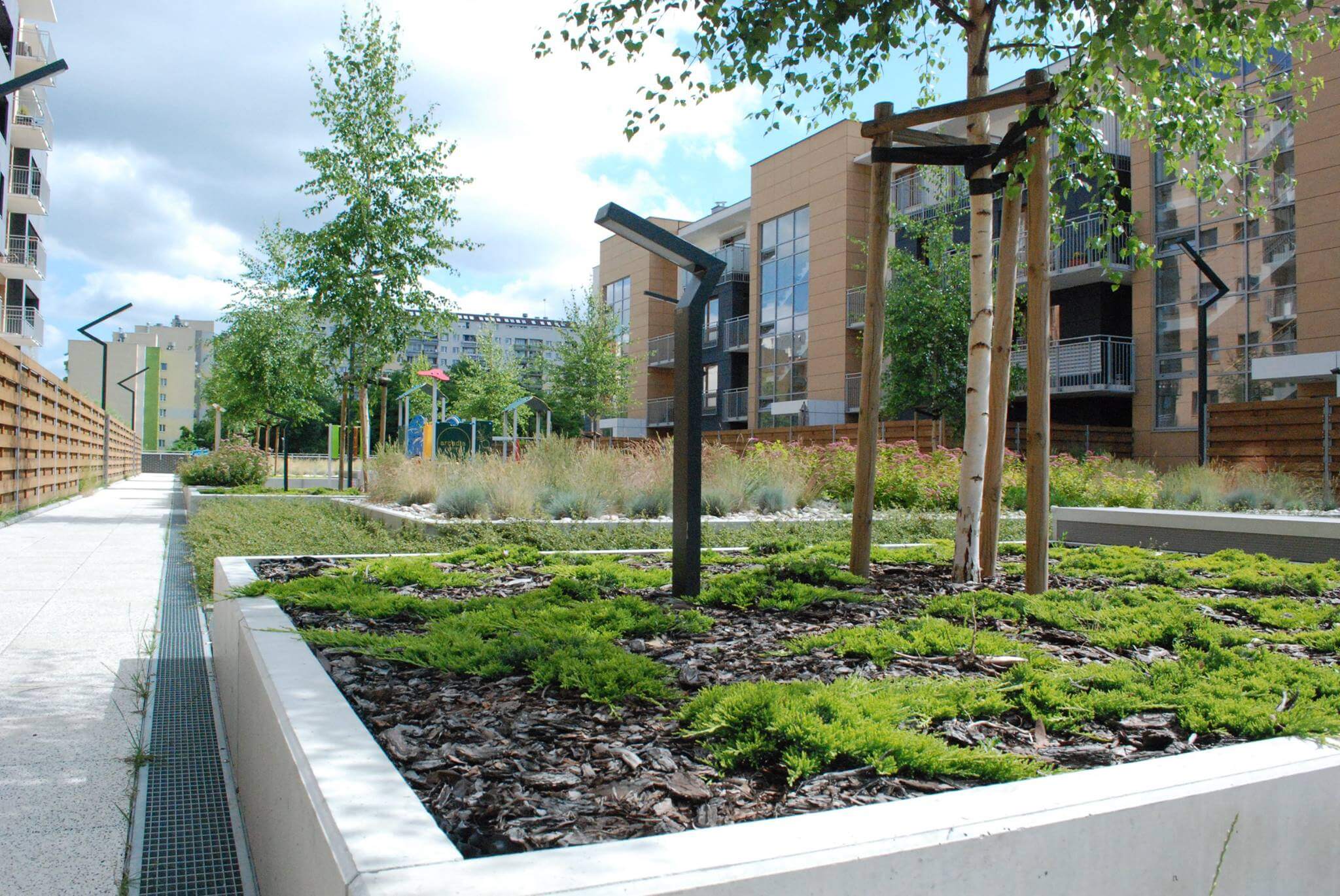 Da Vinci - zdjęcie 5