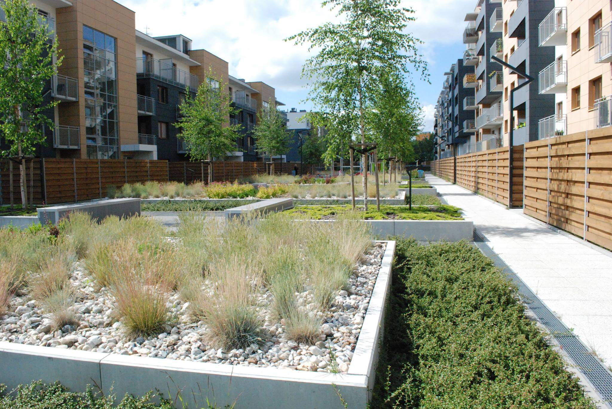 Da Vinci - zdjęcie 6