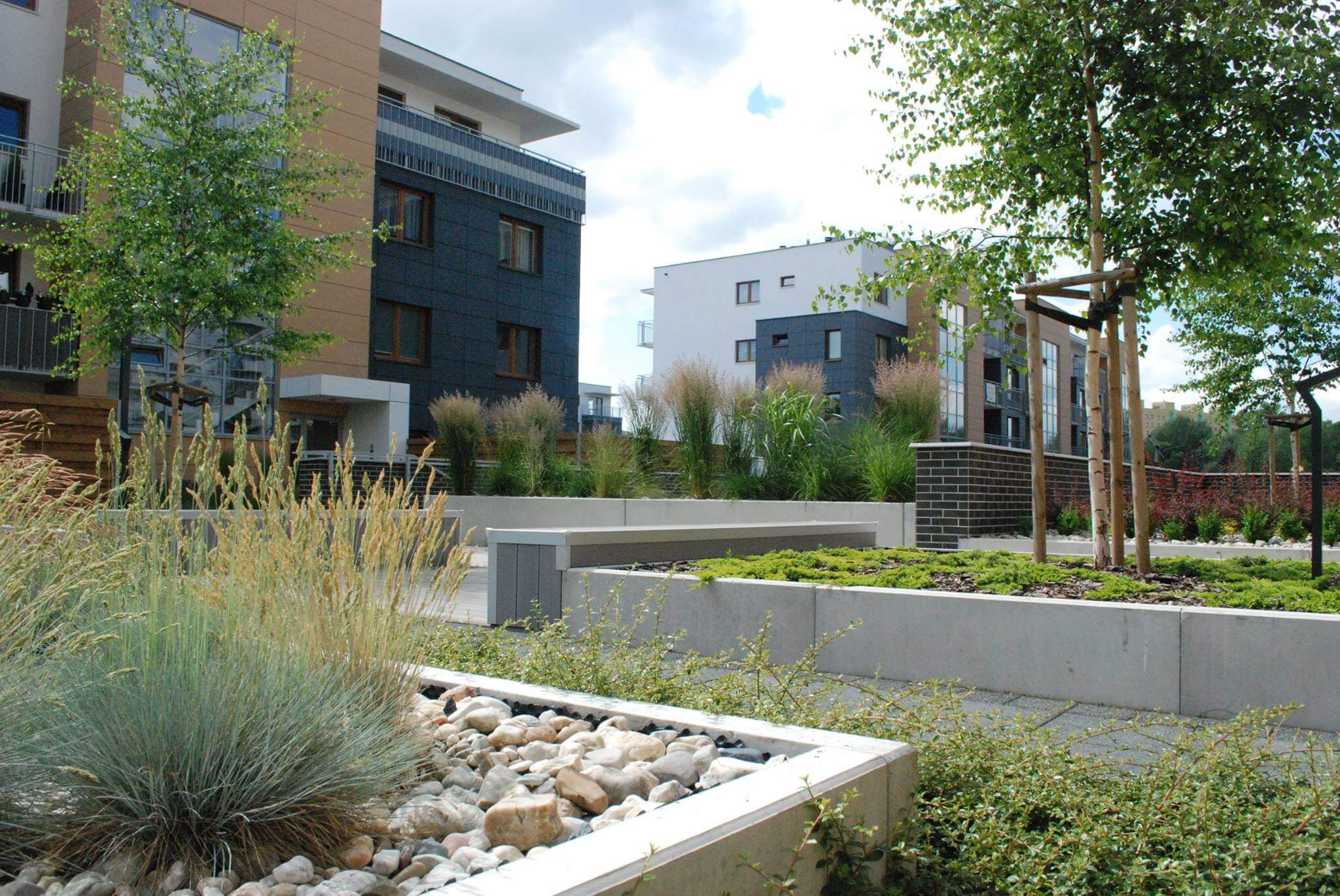 Da Vinci - zdjęcie 7