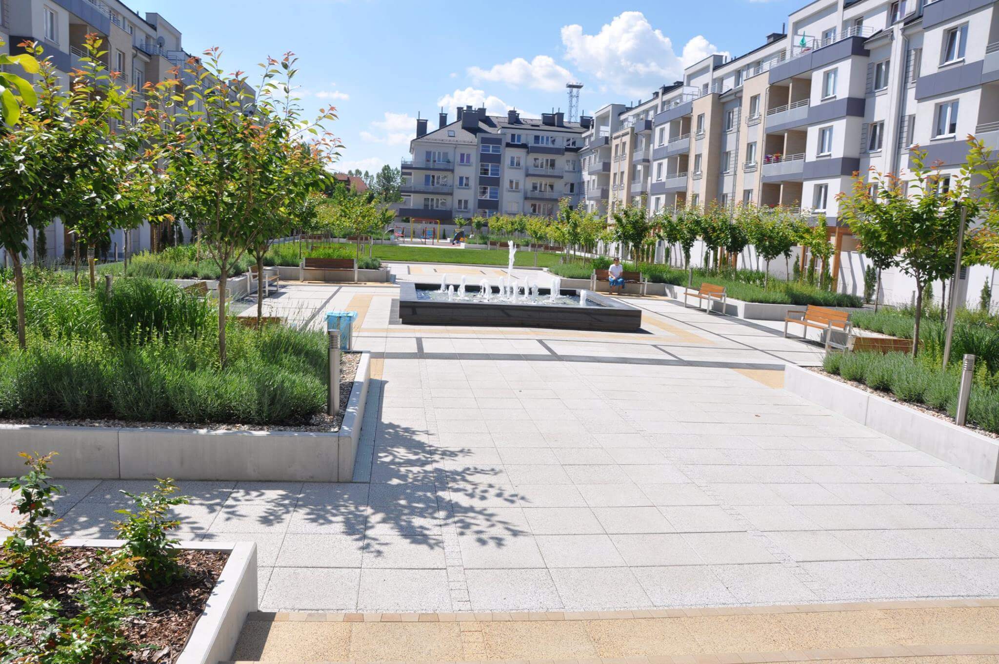 Di Trevi - zdjęcie 2