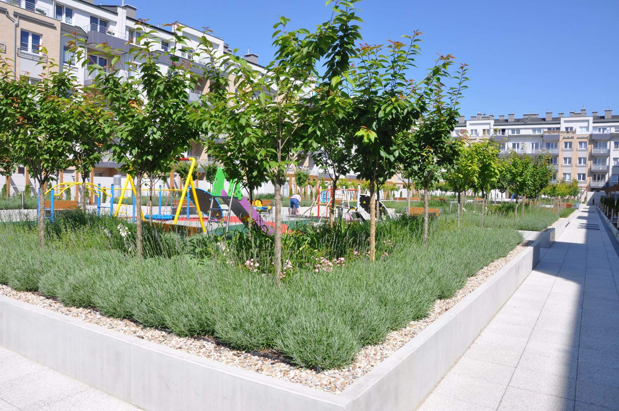 Di Trevi - zdjęcie 4