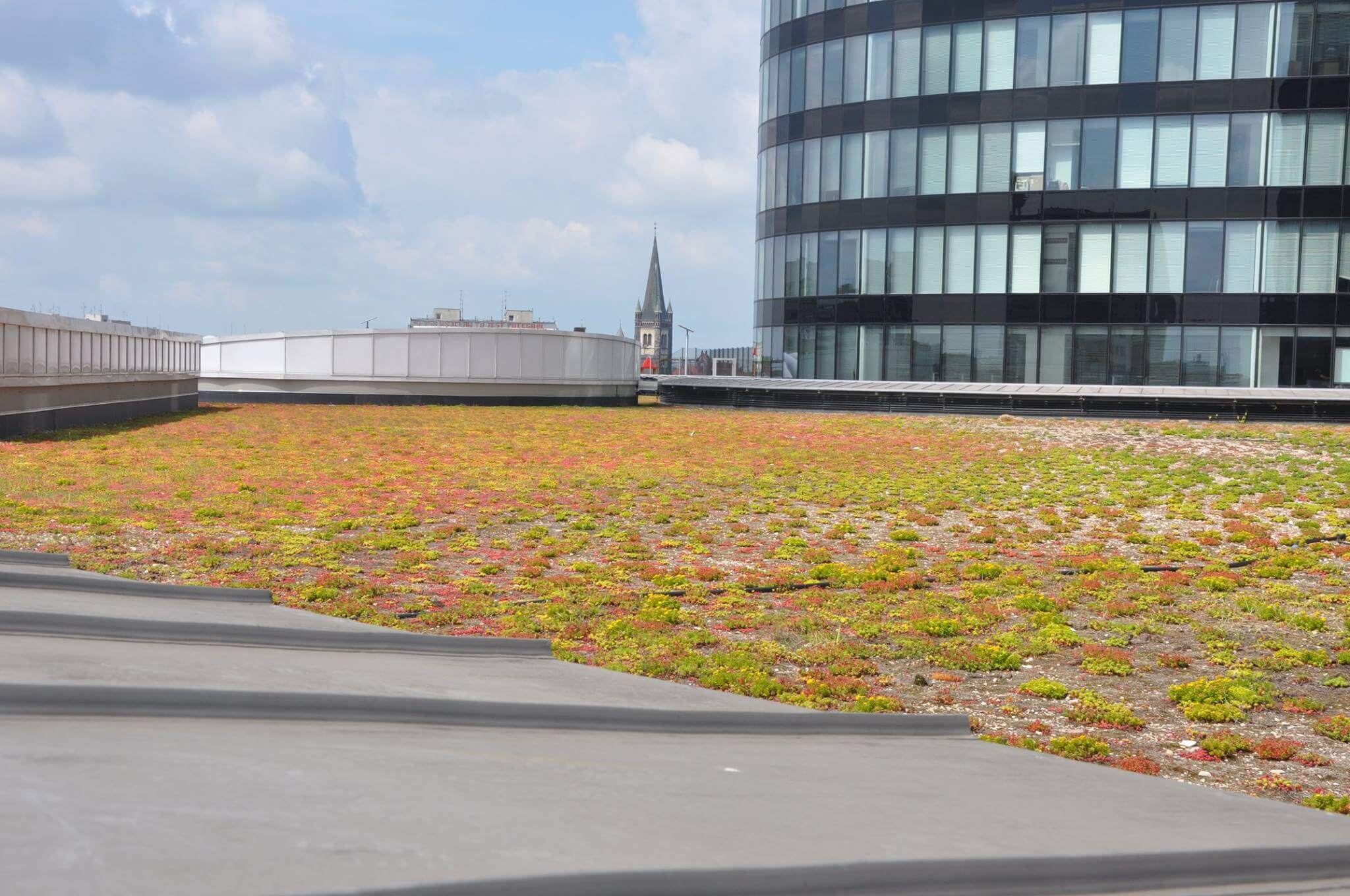 Sky Tower - zdjęcie 3